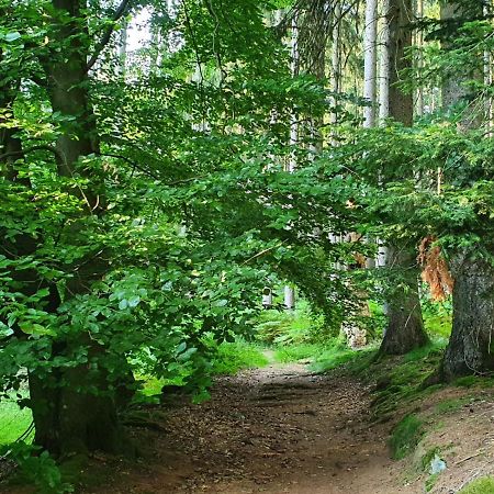 Odenwald-Lodge Mit Infrarotsauna Und E-Ladestation Im Naturpark Odenwald "Haus Himmelblau" Reichelsheim Екстериор снимка