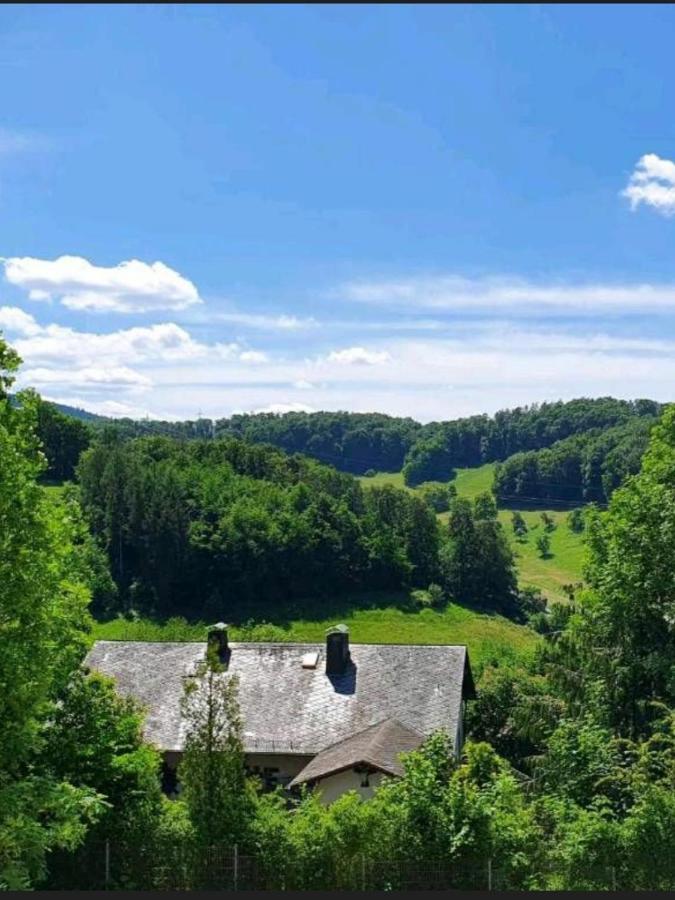 Odenwald-Lodge Mit Infrarotsauna Und E-Ladestation Im Naturpark Odenwald "Haus Himmelblau" Reichelsheim Екстериор снимка