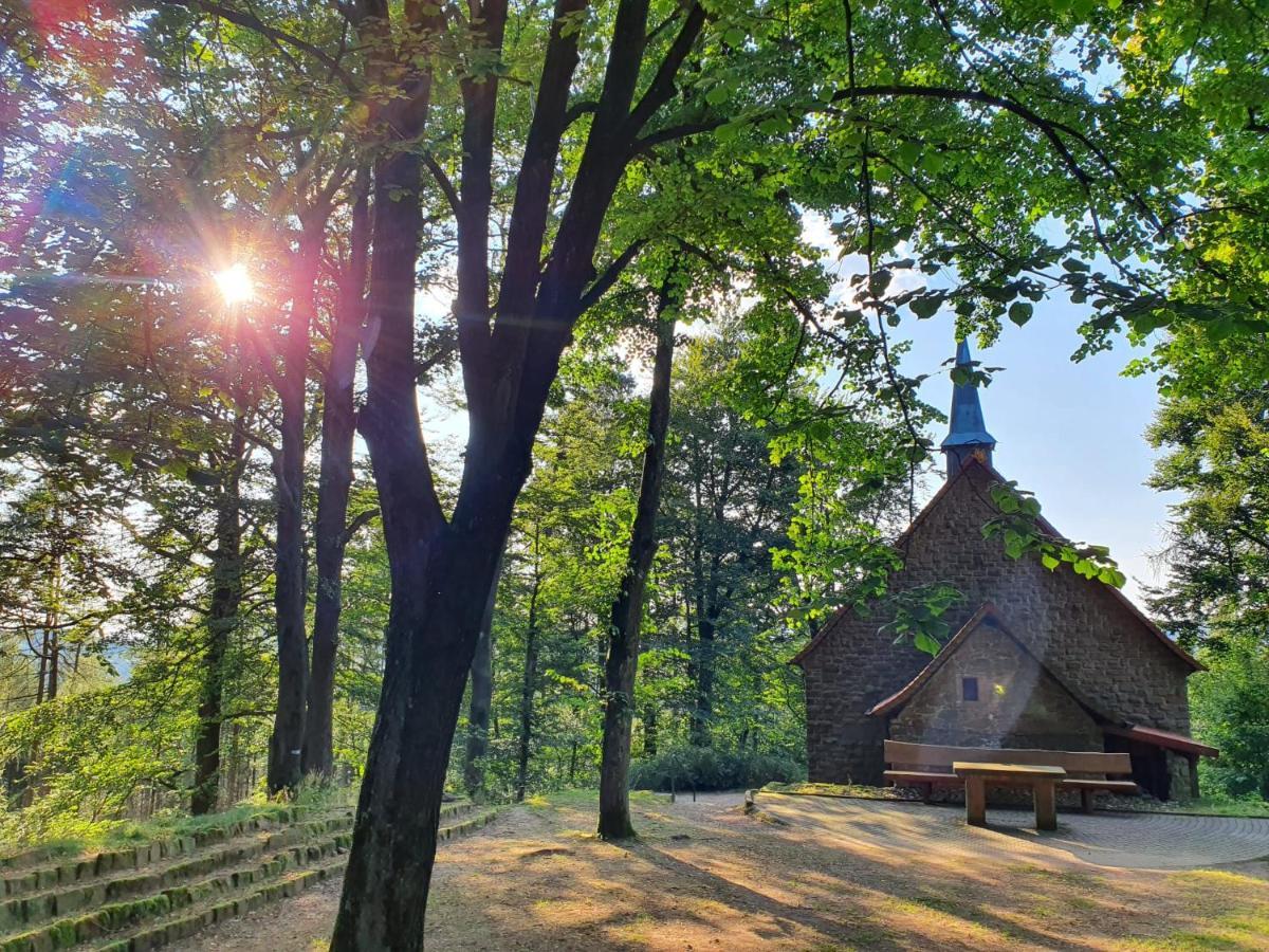 Odenwald-Lodge Mit Infrarotsauna Und E-Ladestation Im Naturpark Odenwald "Haus Himmelblau" Reichelsheim Екстериор снимка