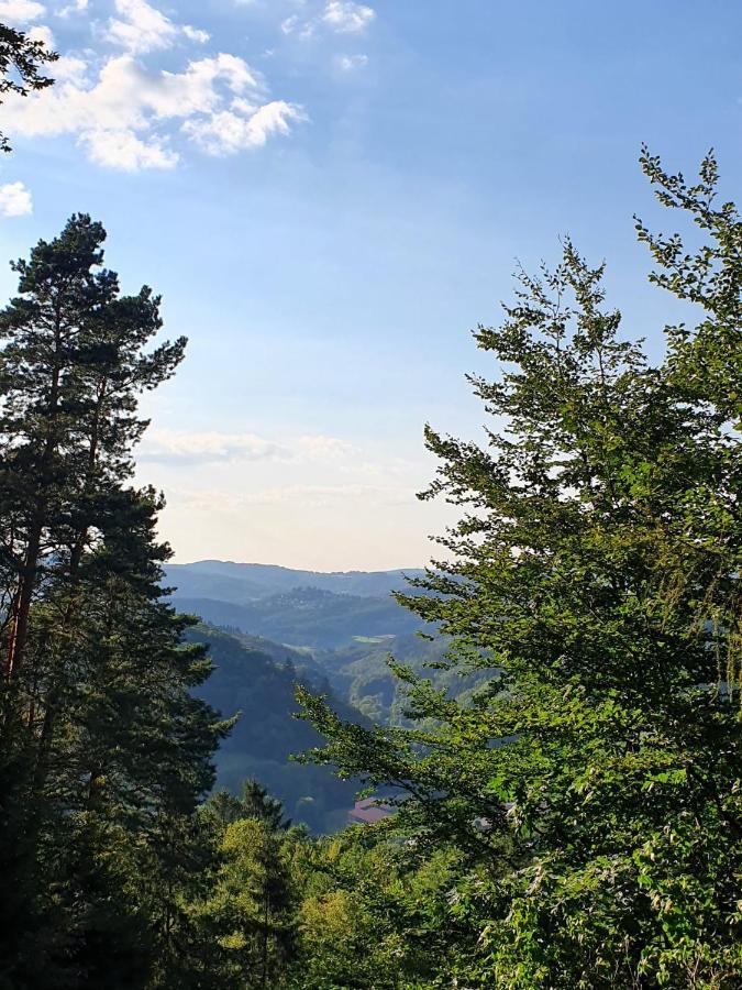 Odenwald-Lodge Mit Infrarotsauna Und E-Ladestation Im Naturpark Odenwald "Haus Himmelblau" Reichelsheim Екстериор снимка