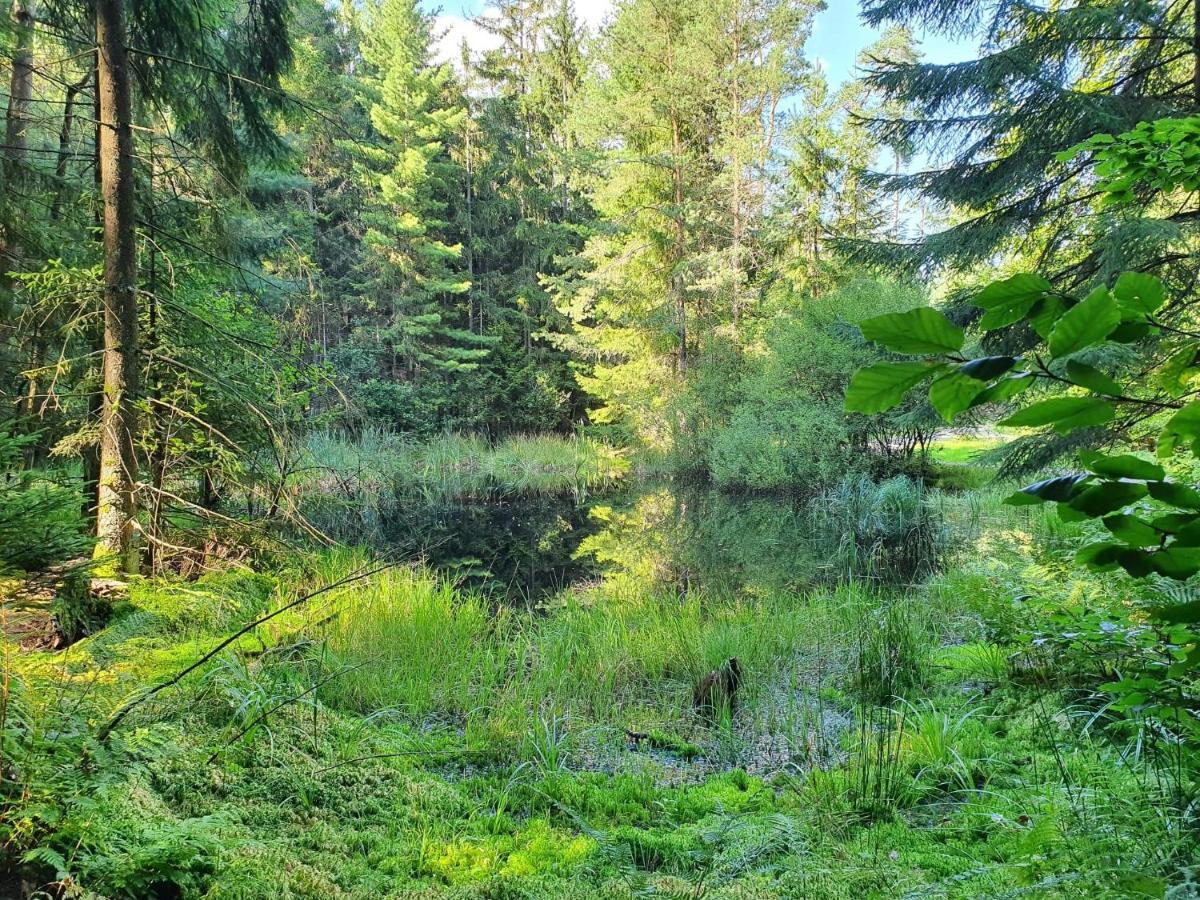 Odenwald-Lodge Mit Infrarotsauna Und E-Ladestation Im Naturpark Odenwald "Haus Himmelblau" Reichelsheim Екстериор снимка