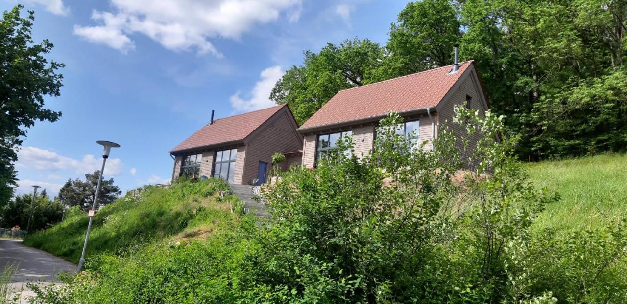 Odenwald-Lodge Mit Infrarotsauna Und E-Ladestation Im Naturpark Odenwald "Haus Himmelblau" Reichelsheim Екстериор снимка
