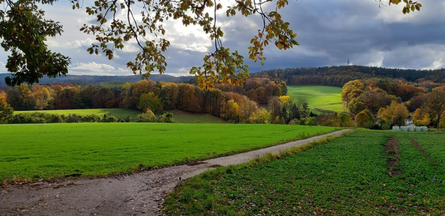 Odenwald-Lodge Mit Infrarotsauna Und E-Ladestation Im Naturpark Odenwald "Haus Himmelblau" Reichelsheim Екстериор снимка