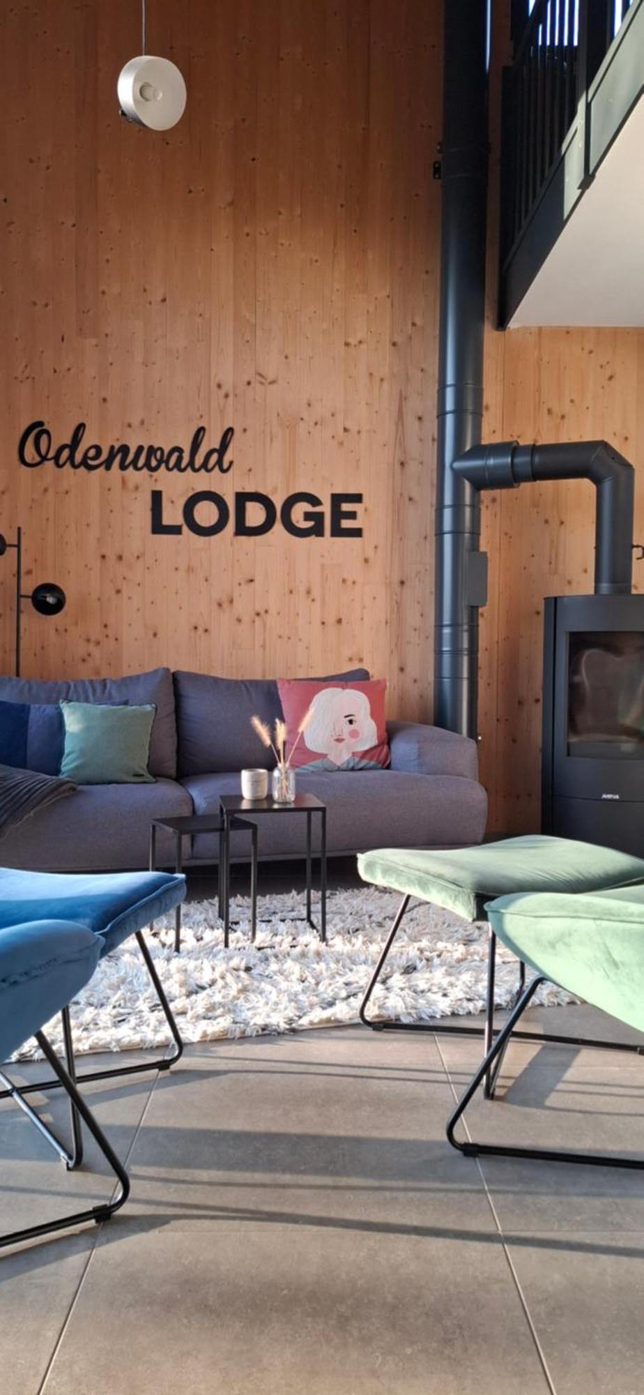 Odenwald-Lodge Mit Infrarotsauna Und E-Ladestation Im Naturpark Odenwald "Haus Himmelblau" Reichelsheim Екстериор снимка